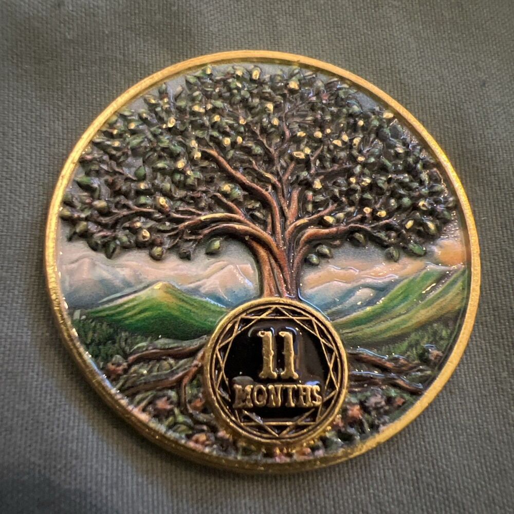 11 Months Tree AA NA Sobriety Coin Recovery Chip Sober Anniversary Token